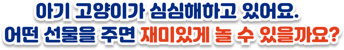 아기 고양이가 심심해 하고 있네요. 어떤 선물을 주면 재미있게 놀 수 있을까요?